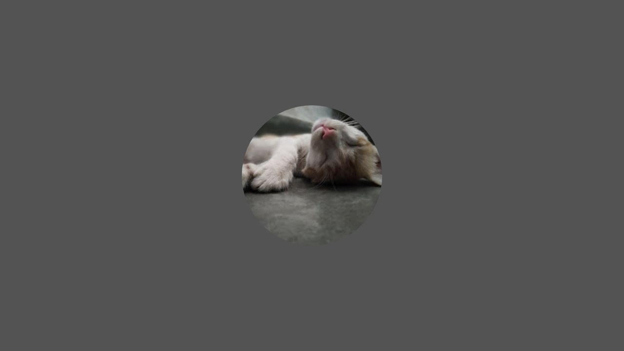 Cute pet world Vishnu  is live