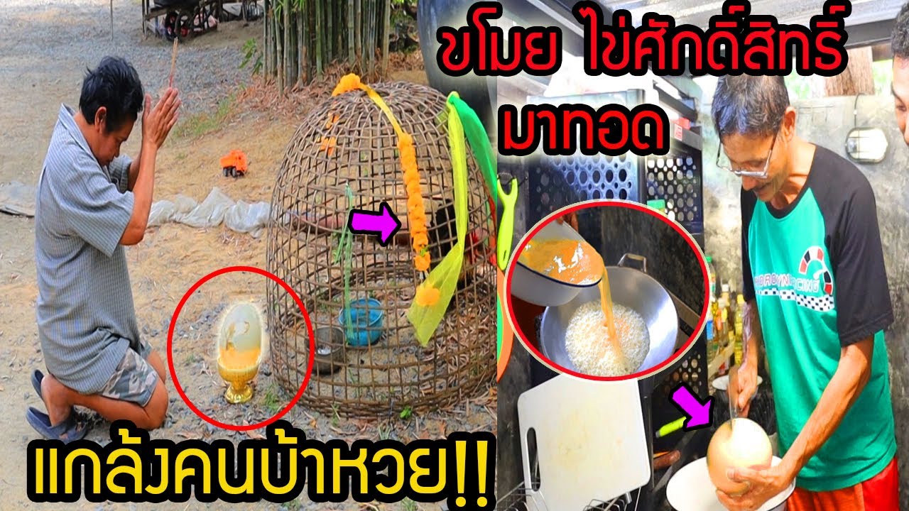 แกล้งแม่(คนบ้าหวย) ไก่วิเศษออกไข่ยักษ์ พ่อขโมยไข่ศักดิ์สิทธิ์แม่ไปทอดกิน!!  แม่ถึงกับร้องไห้