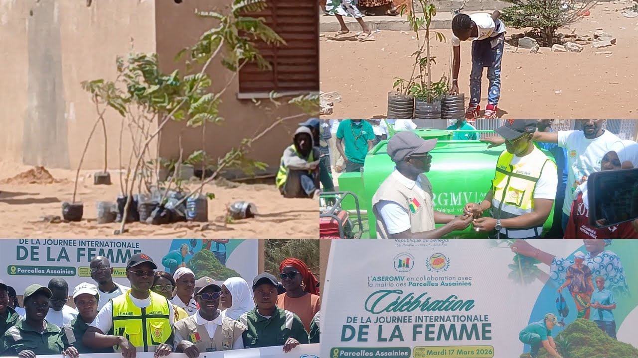 Mars vert : L’ASERGMV et la Mairie des Parcelles Assainies plantent des arbres à l’écolé Unité 16