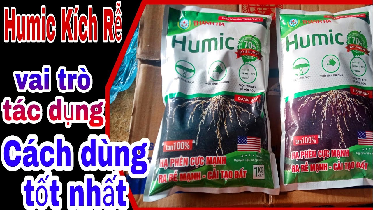 Cách Dùng HuMic Kích Rễ Đúng và Hiệu Quả Nhất/ vai trò, tác dụng, giai đoạn sử dụng Humic
