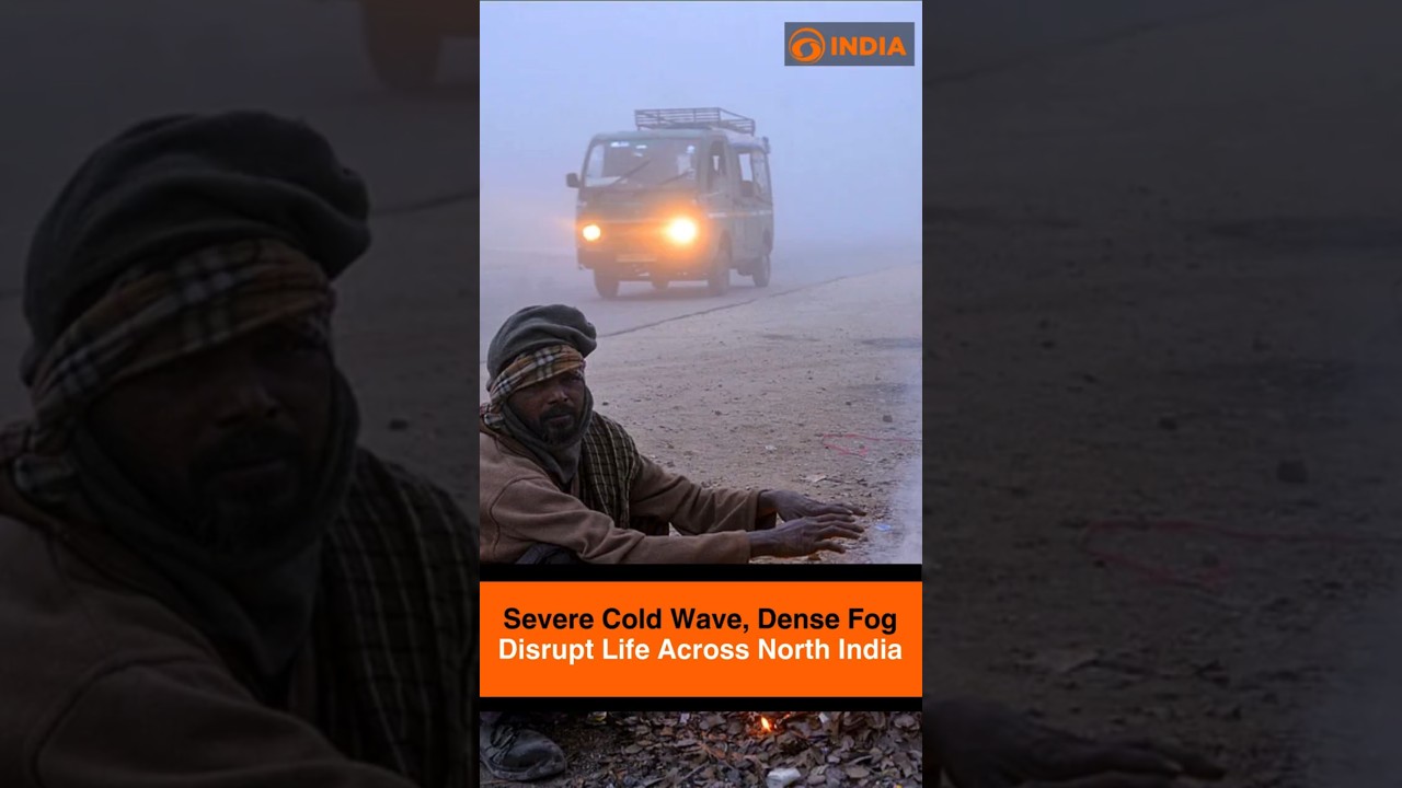 Severe Cold Wave, Dense Fog Disrupt Life Across North India