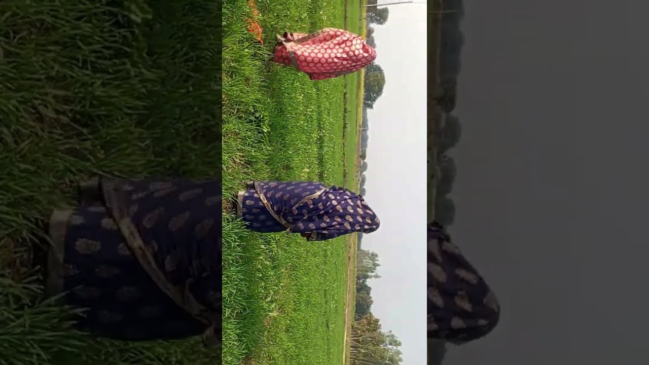 Kusum 335q khet me kam karte time kaisa lag raha hai dosto aaplog kament kar ke bataiye 
