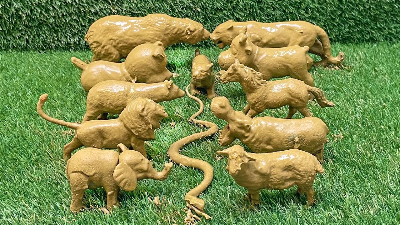 Guess Who’s at the Zoo: Meet the Wild and Farm Animals Fun Facts for Kids!🦁