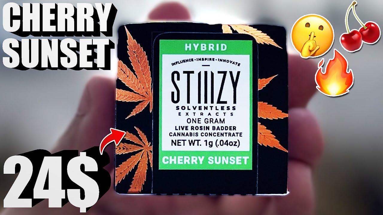 STIIIZY ROSIN IN 2024! | Stiiizy Cherry Sunset LIVE ROSIN BADDER REVIEW!