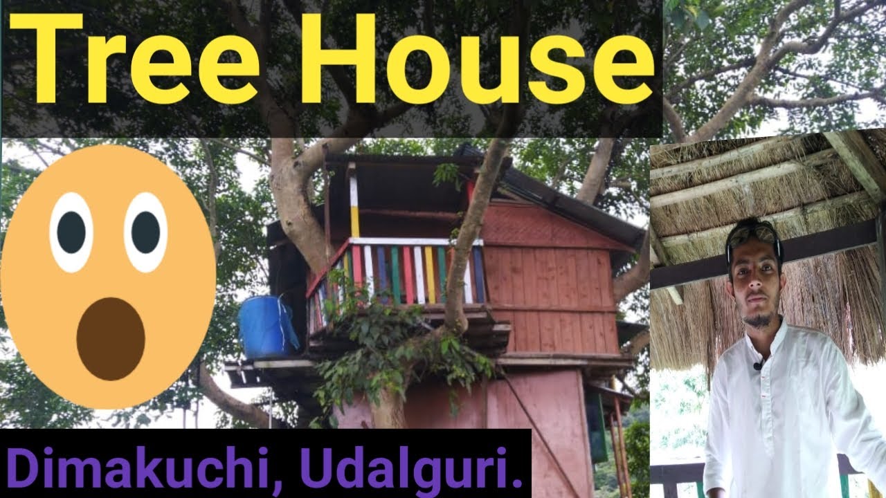 Tree House, Dimakuchi Udalguri || Peripatetic Guy || First Vlog😀