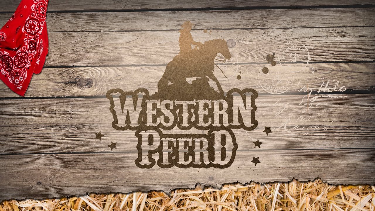 Pullmann City Westernpferd  2013