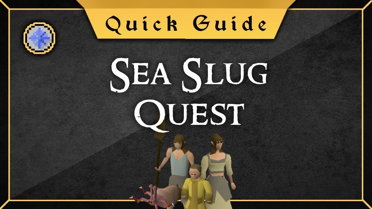 [Quick Guide] Sea slug