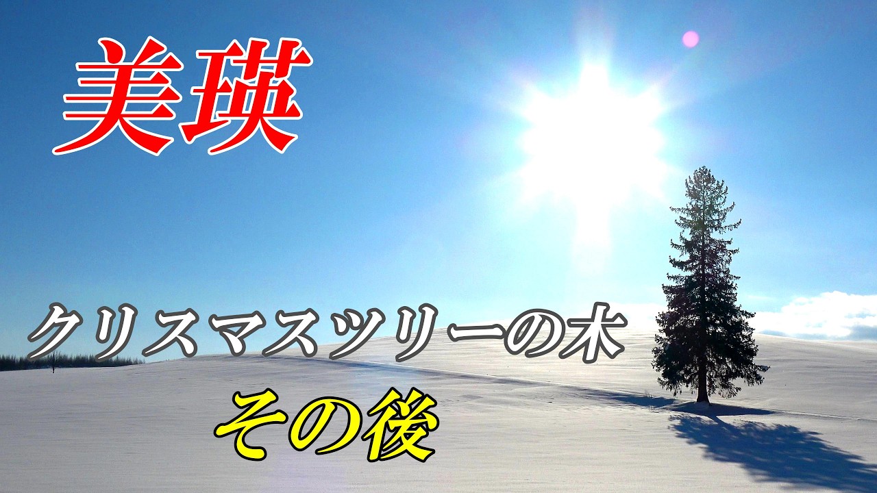【北海道 美瑛】「クリスマスツリーの木」その後 　４Ｋ