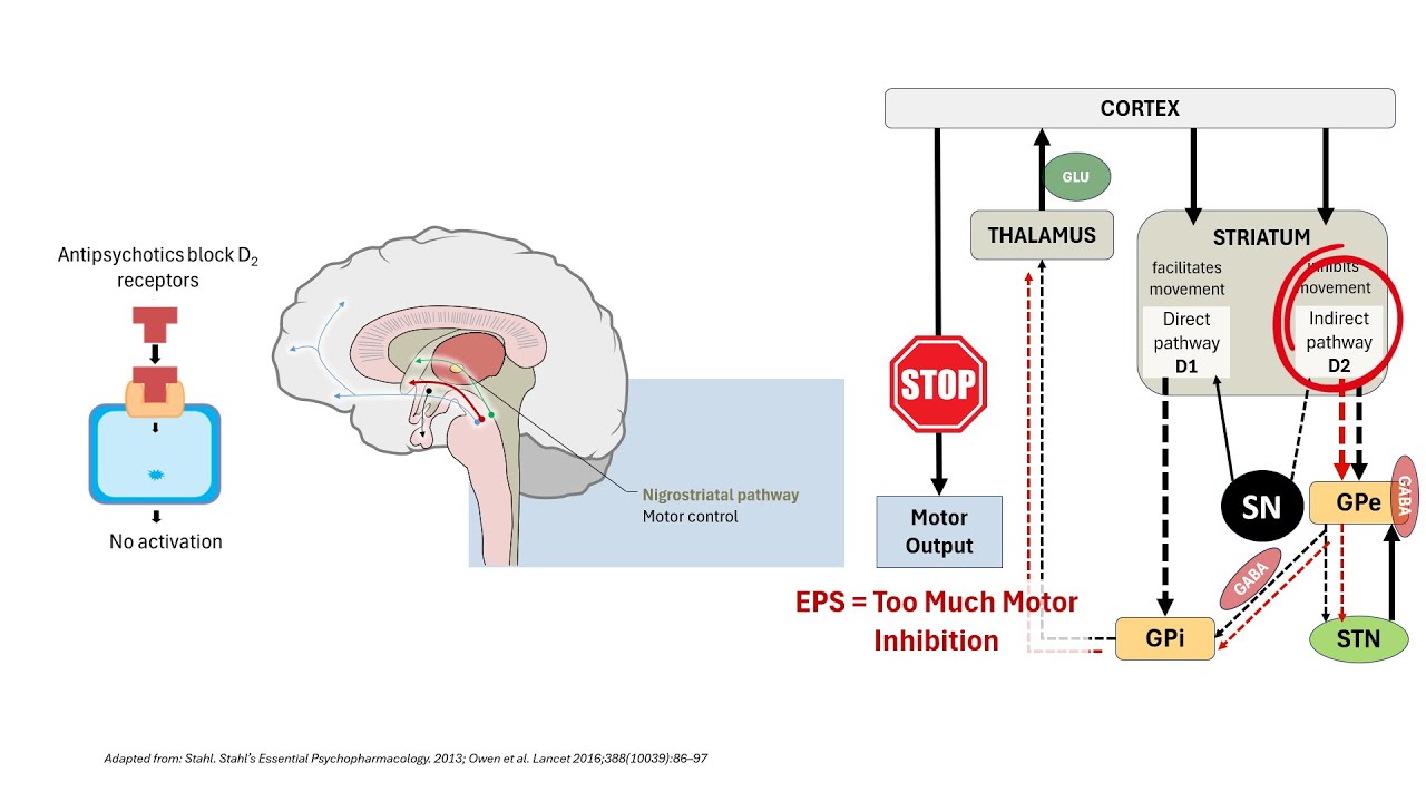 Why Antipsychotics Cause Extrapyramidal Symptoms (EPS) | Pharmacology Explained