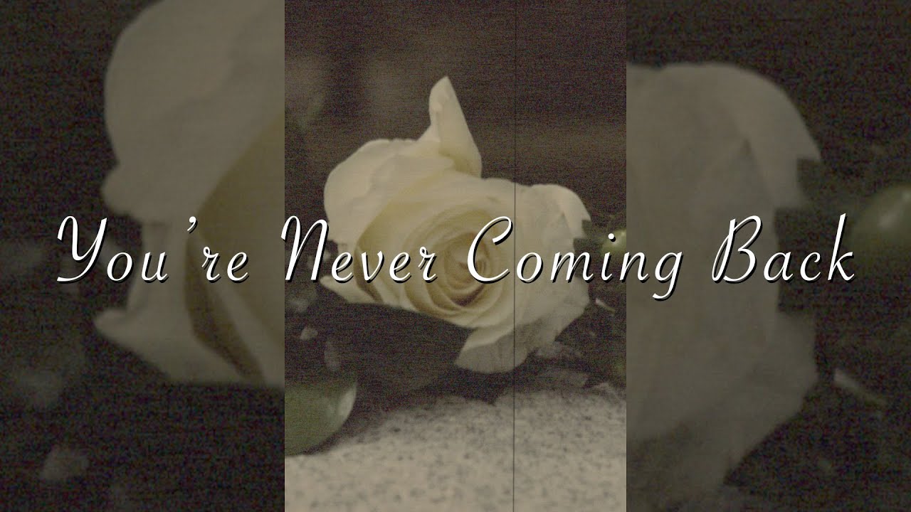 you're never coming back (feat. Cayson Renshaw) - [Vertical Lyric Video/Visualizer]