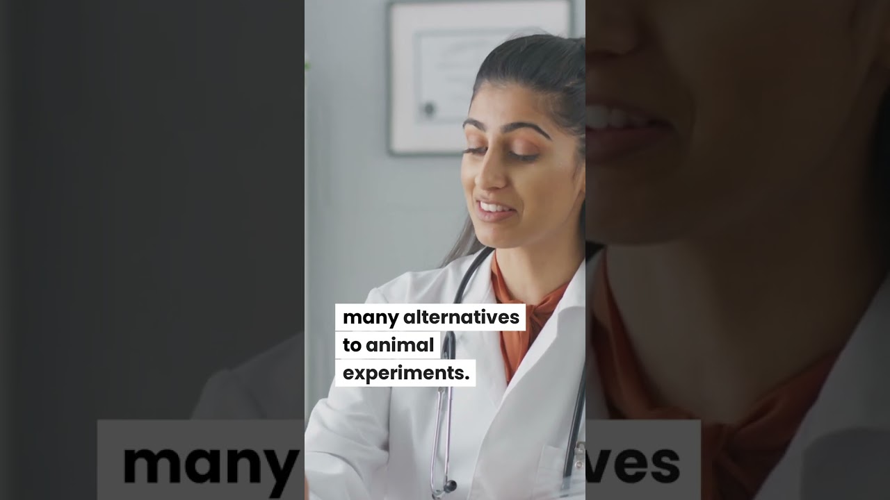 What Are The Alternatives to Animal Testing?