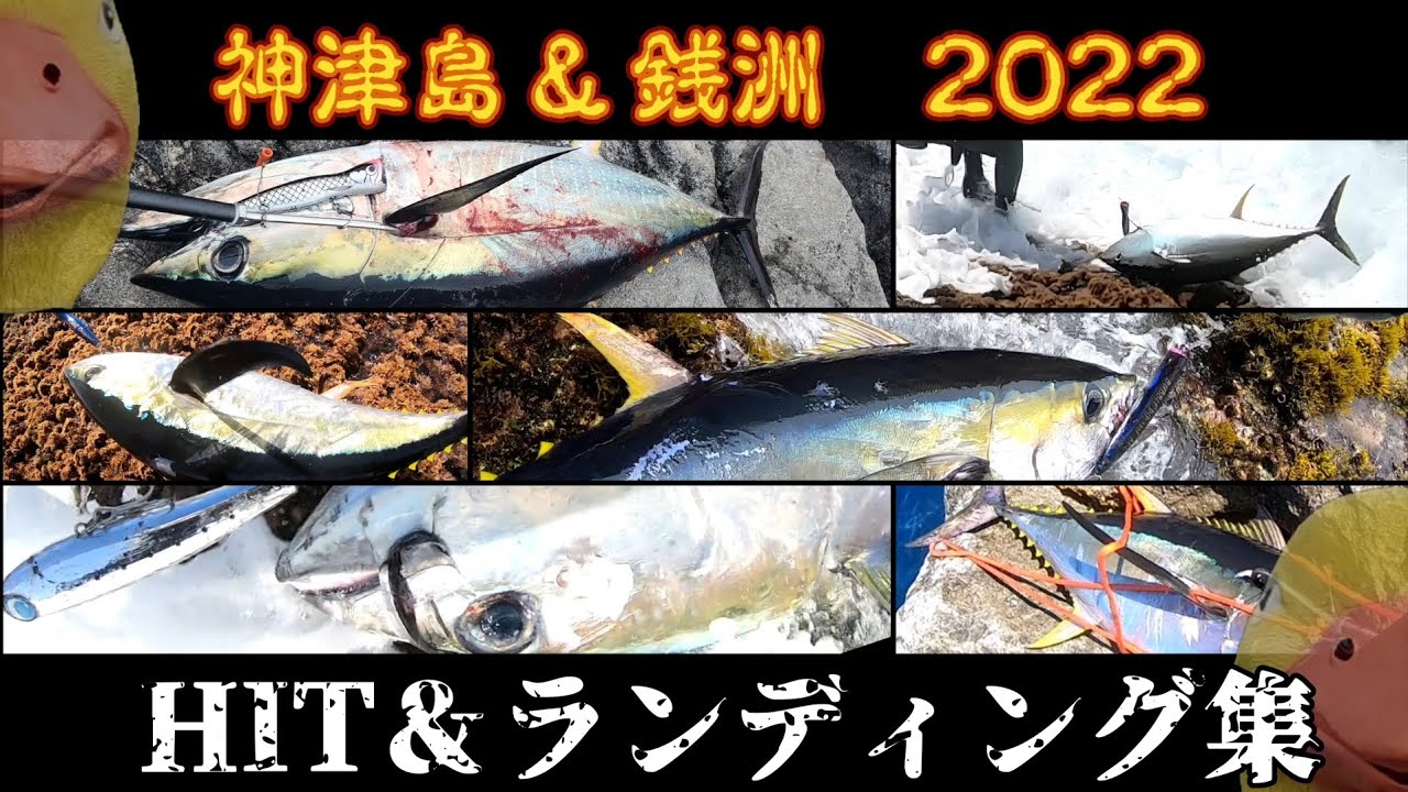 【神津島 銭洲】HIT＆ランディング集【ロックショア】