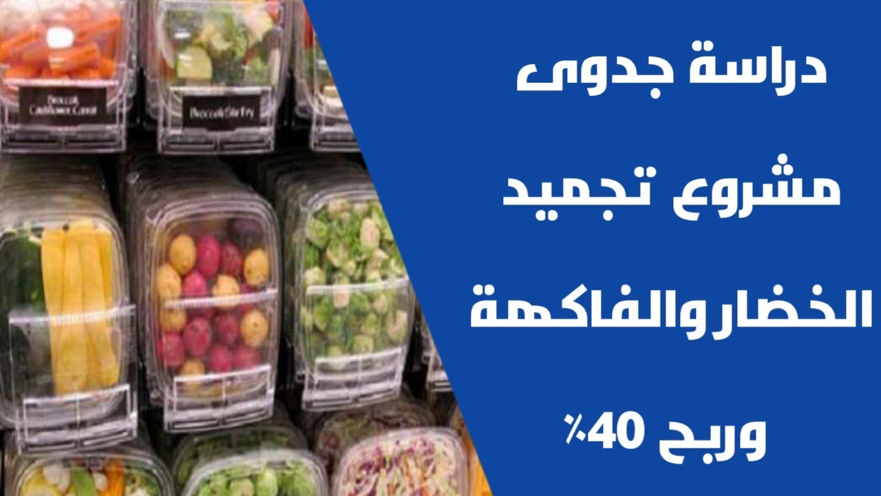 دراسة جدوى مشروع تجميد الخضار والفاكهة وربح 40 ٪ لطلب دراسات الجدوى تواصل على واتساب / 01552840933