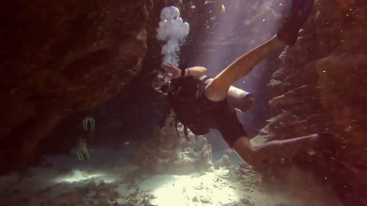 Diving Marsa Alam Egypt Dolphin house 1