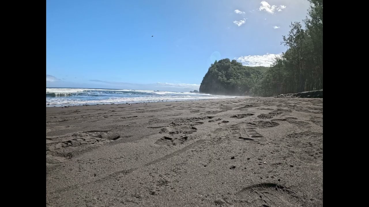Black Sand Beach 1