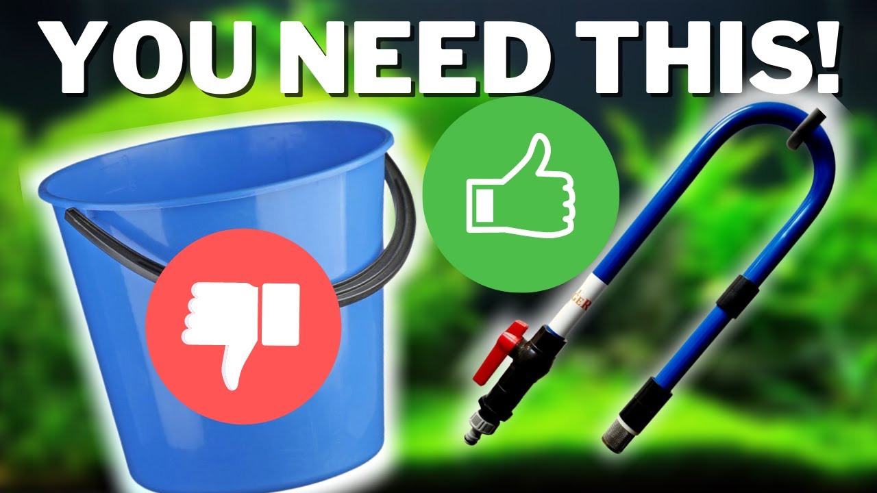 What is a Jai Changer and Why You Need One - No More Bucket Waterchanges