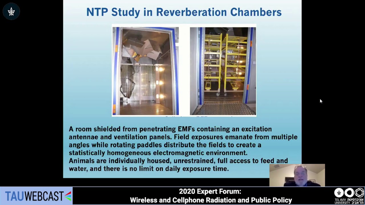National Toxicology Program's Studies on Cell Phone Radiofrequency Radiation