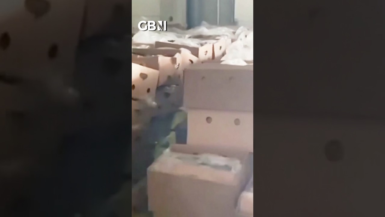 Spanish police find 9.5 TONNES of COCAINE stashed in boxes of bananas #worldnews #Spain #GBNews