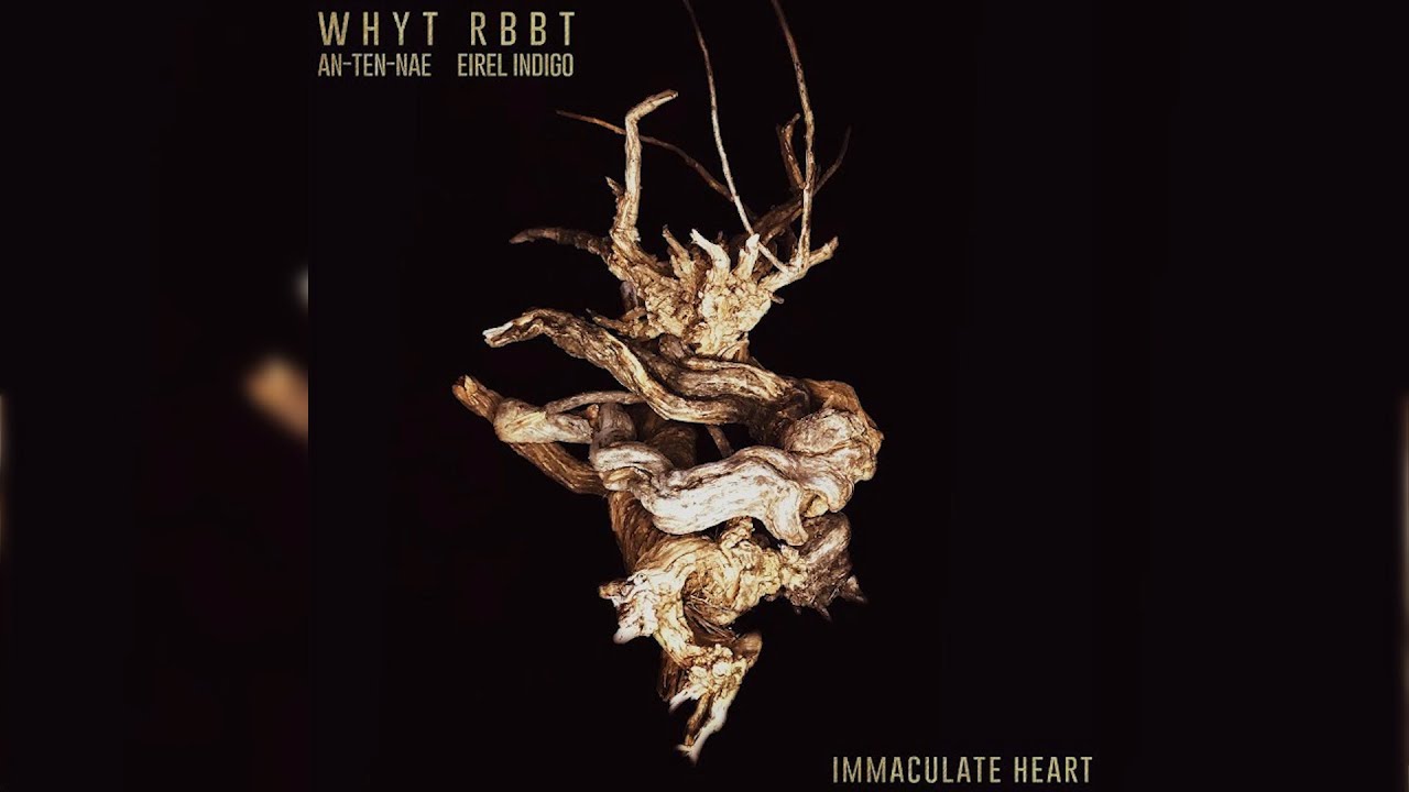 WHYT RBBT - IMMACULATE HEART