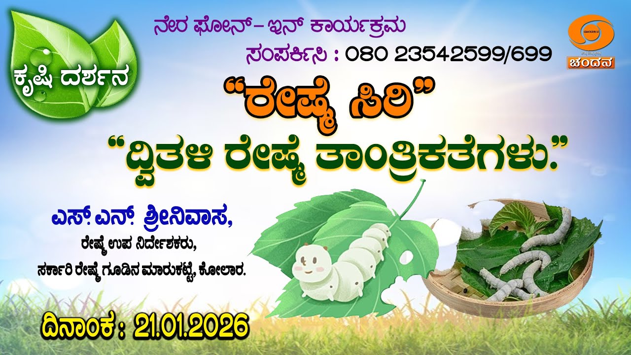 Krishi Darshana | Phone-in | “ರೇಷ್ಮೆ ಸಿರಿ” | ದ್ವಿತಳಿ ರೇಷ್ಮೆ ತಾಂತ್ರಿಕತೆಗಳು | 21.01.26 | DD Chandana