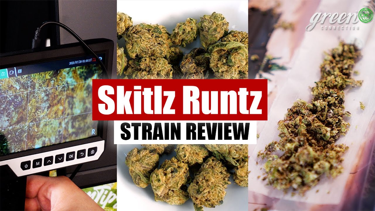 WAS KANN SKITLZ RUNTZ ? | Strain Review | GreenConnection 