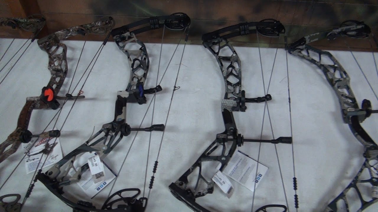 Elite Compound Bow Review
