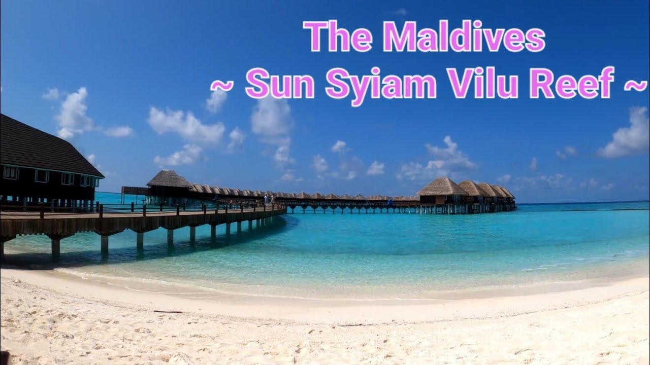Trip to the Maldives | Sun Siyam Vilu Reef | Part 2 | 4K #live2travel
