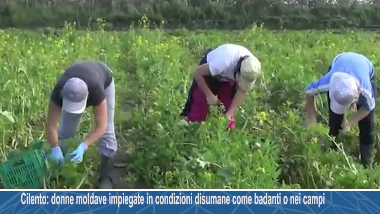 Cilento: donne moldave impiegate in condizioni disumane come badanti o nei campi