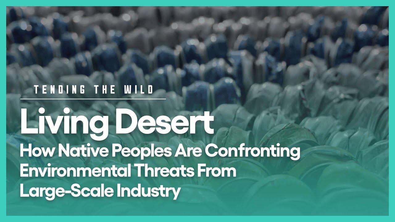 Living Desert | Tending the Wild | Season 1, Episode 6 | PBS SoCal