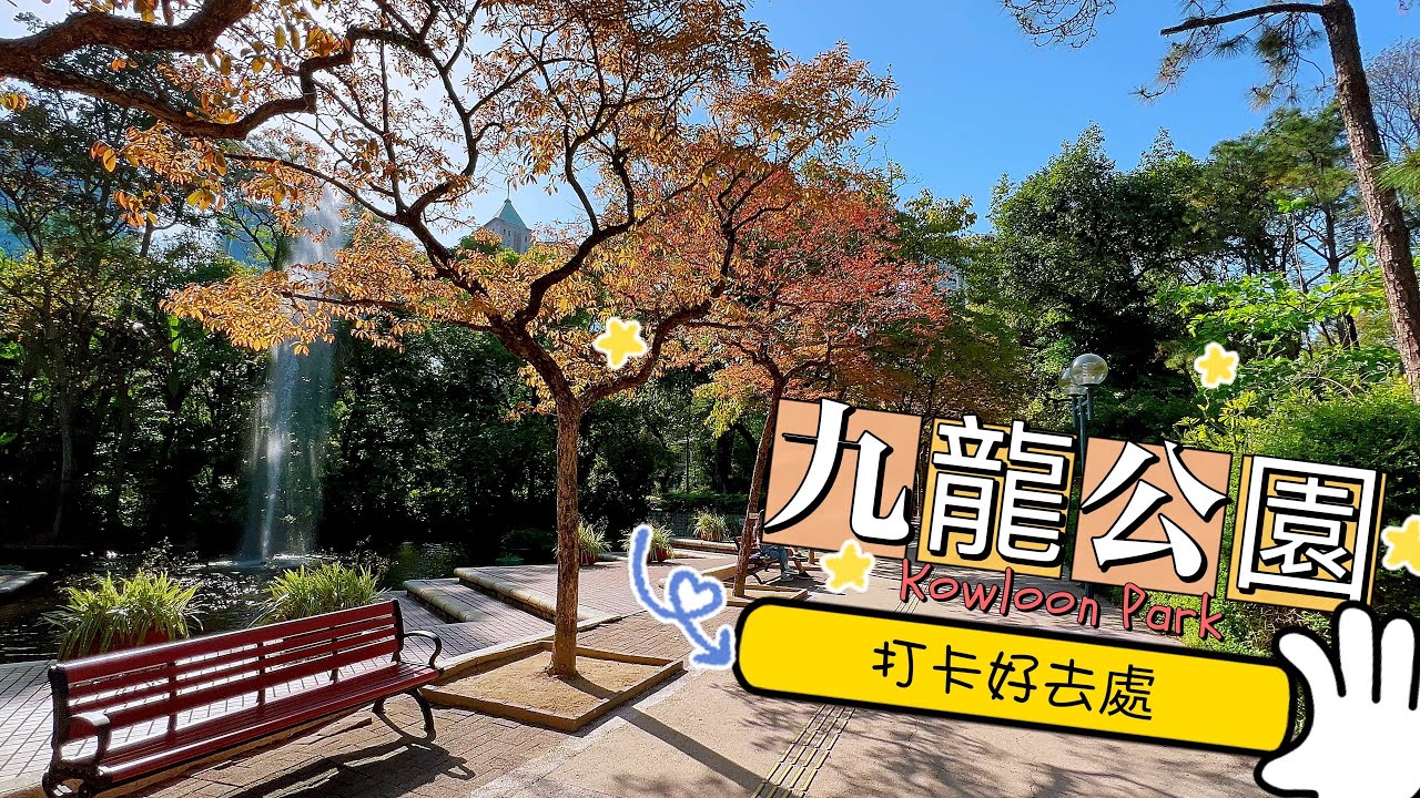 尖沙咀 九龍公園 Kowloon Park寧靜一角｜鬧市睇雀仔？｜疫情下輕鬆慢步咁至係生活