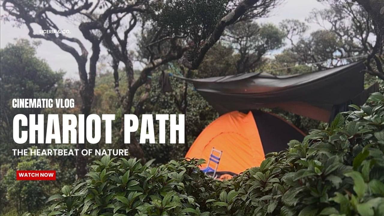 Chariot path camping | ලංකාවේ සීතලම කදු මුදුන සොයා🥶 | Sri Lanka | 4k | #chariotpath