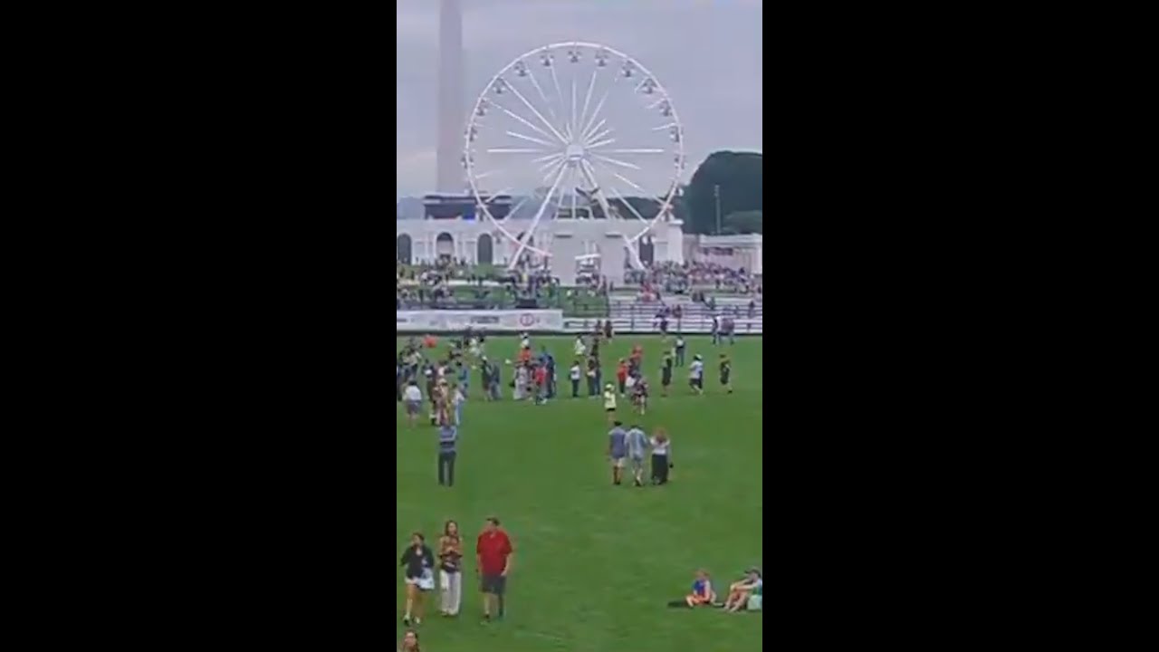 Sparse Crowd Fox Cannot Hide