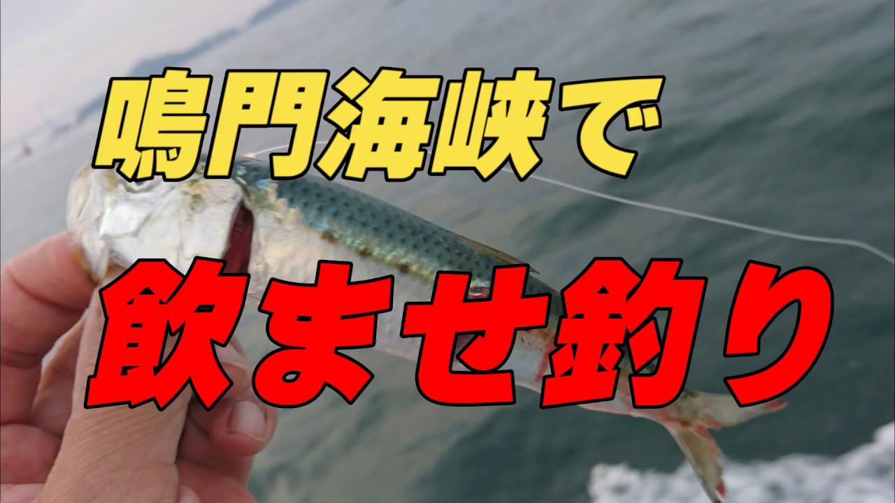 鳴門海峡で飲ませ釣り