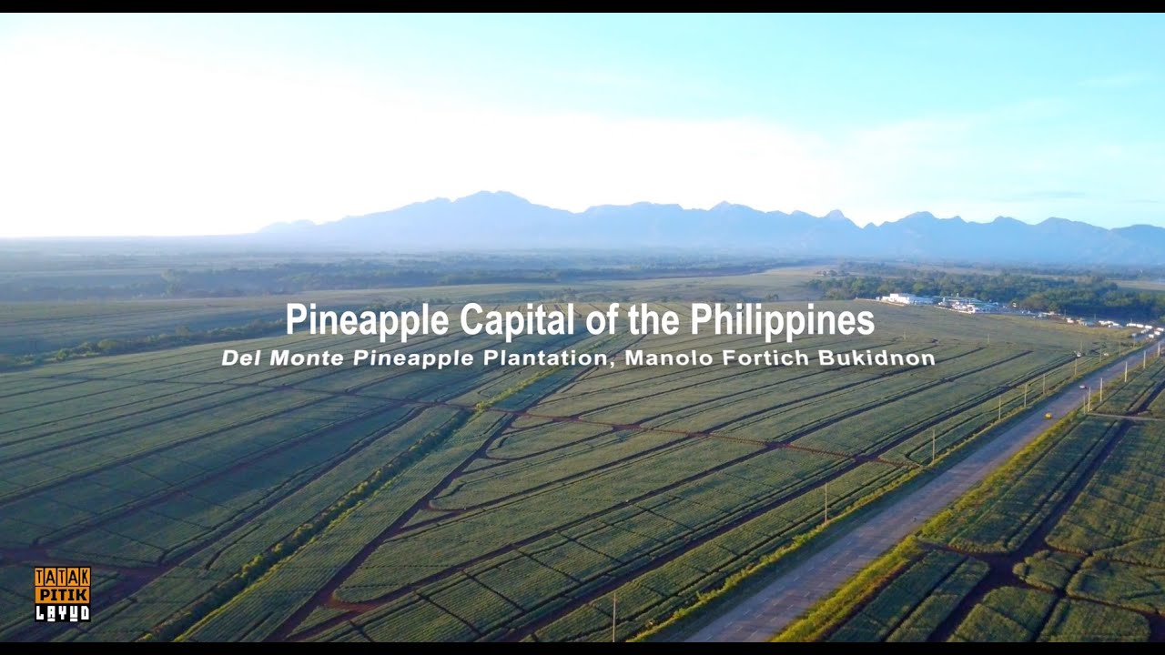NAPAKA GANDA TALAGA TINGNAN PAG NASA TAAS ANG VIEW sa DELMONTE PINEAPPLE PLANTATION ,BUKIDNON