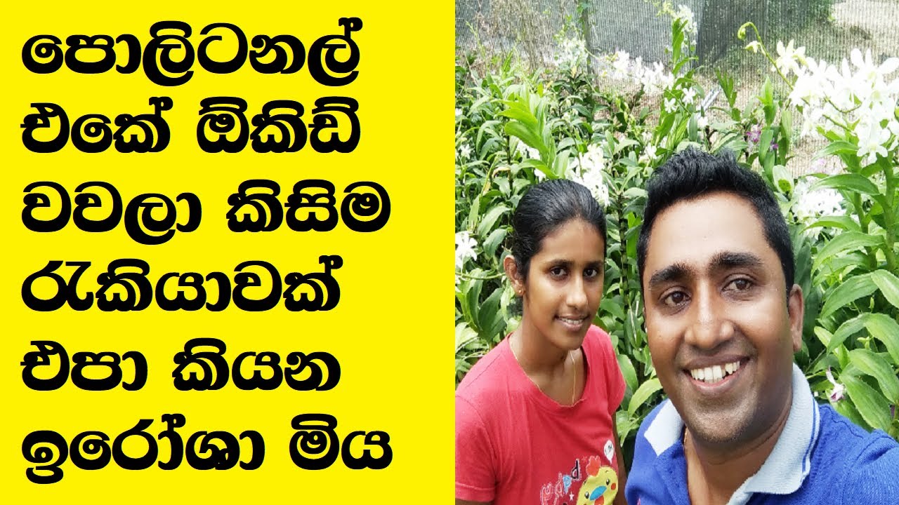 Success story of Commercial Orchid cultivation entrepreneur in Sri Lanka
