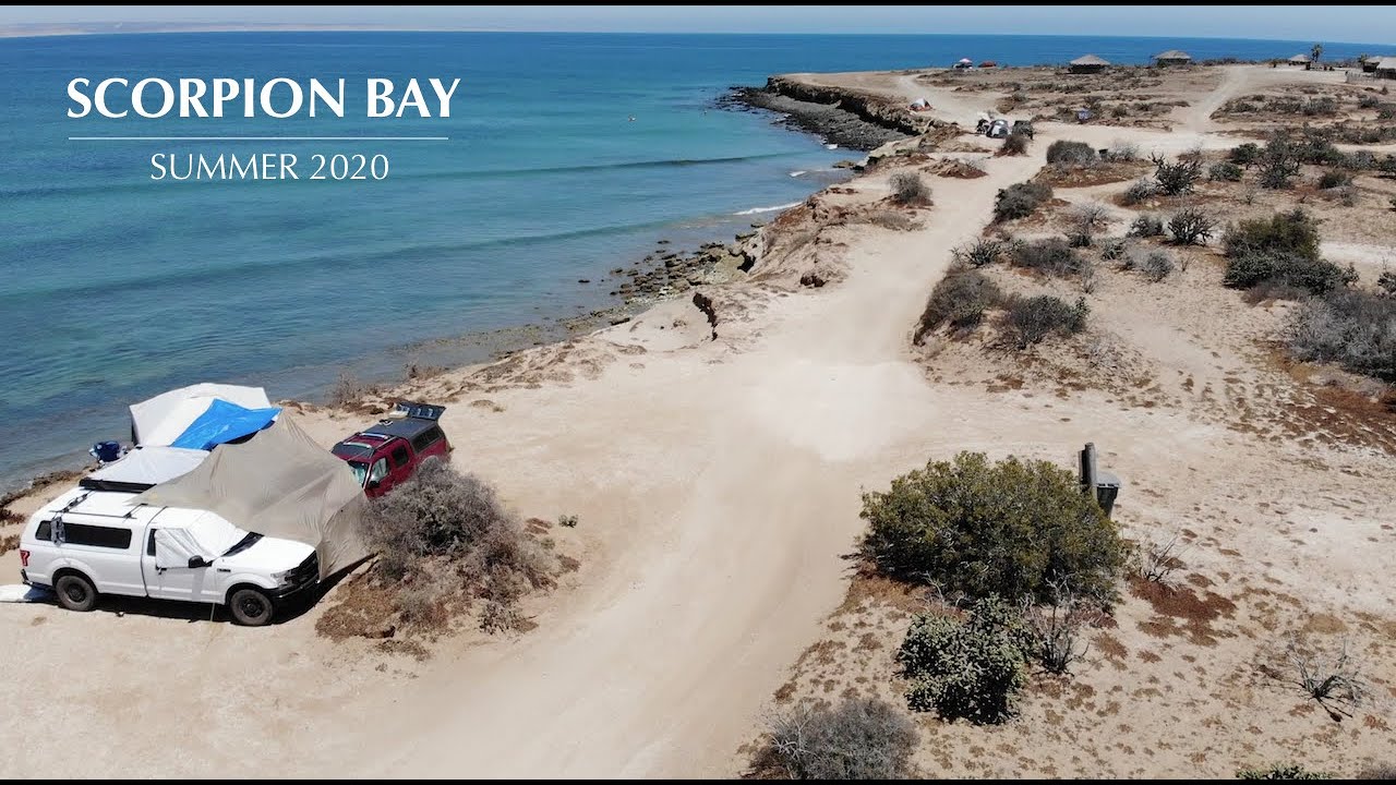 // Scorpion Bay // SUMMER 2020 //
