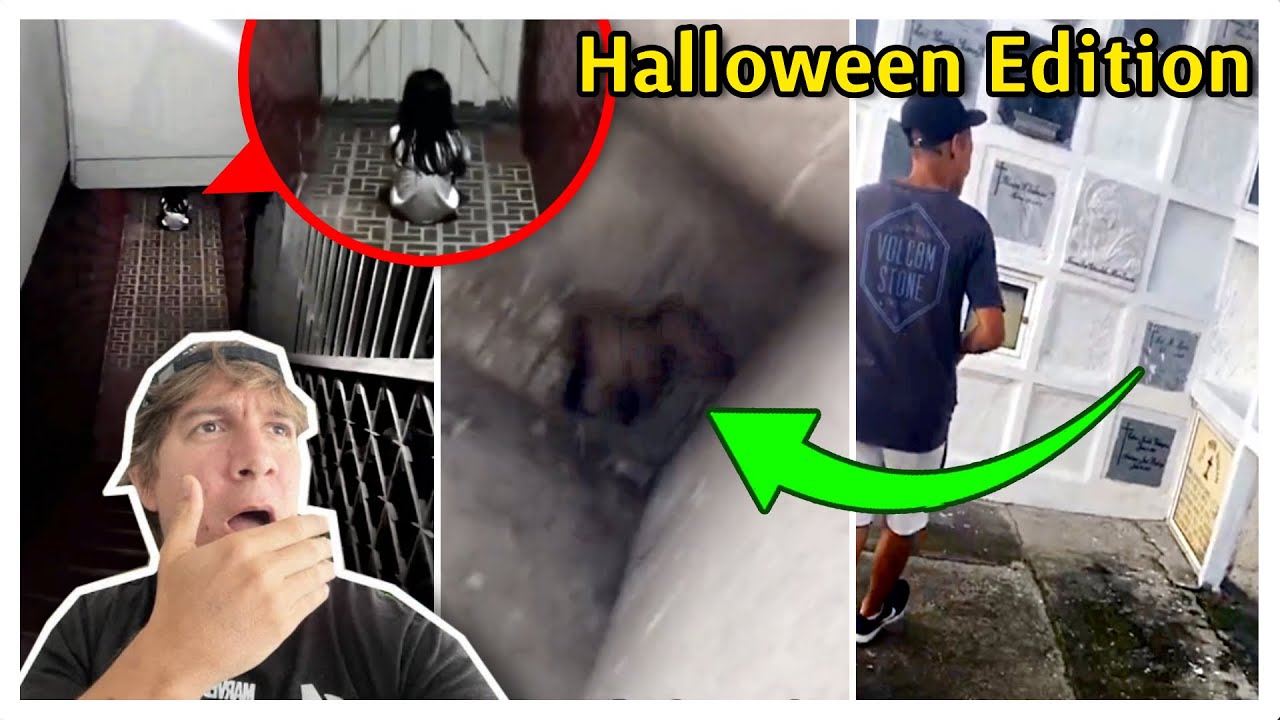 Unexpected Encounters That Will Creep You Out