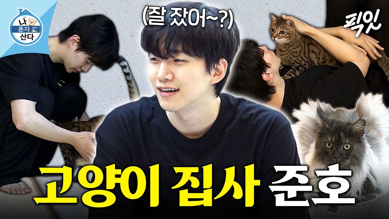 [나혼자산다] 고양이 4마리 모시고 사는 유죄 인간 이준호의 집사 라이프 MBC210521방송 #나혼산 #이준호