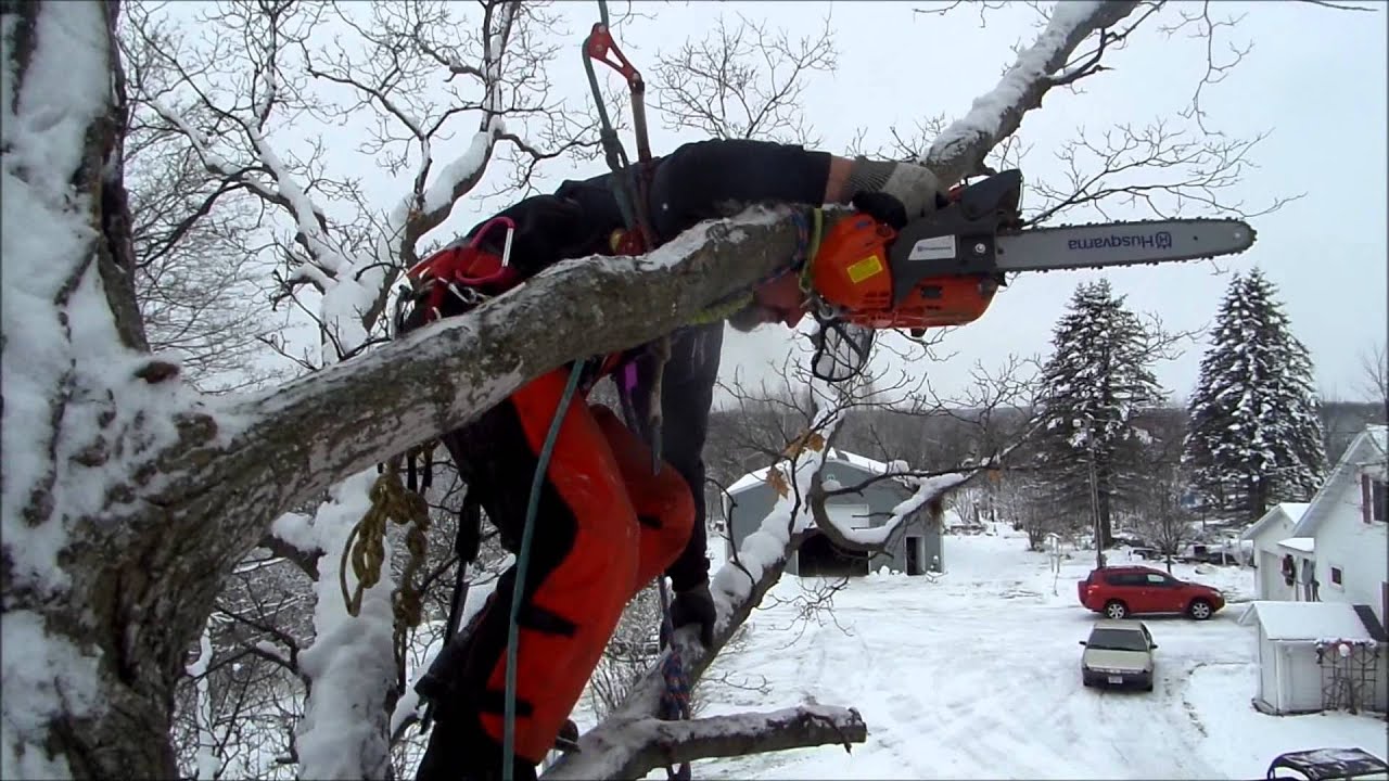Husqvarna T435 Chainsaw Review