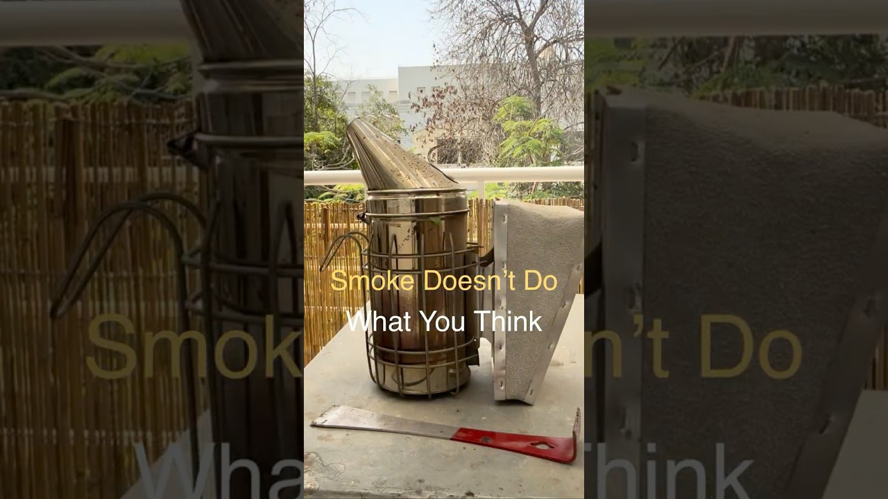 Smoke Doesn’t Do What You Think