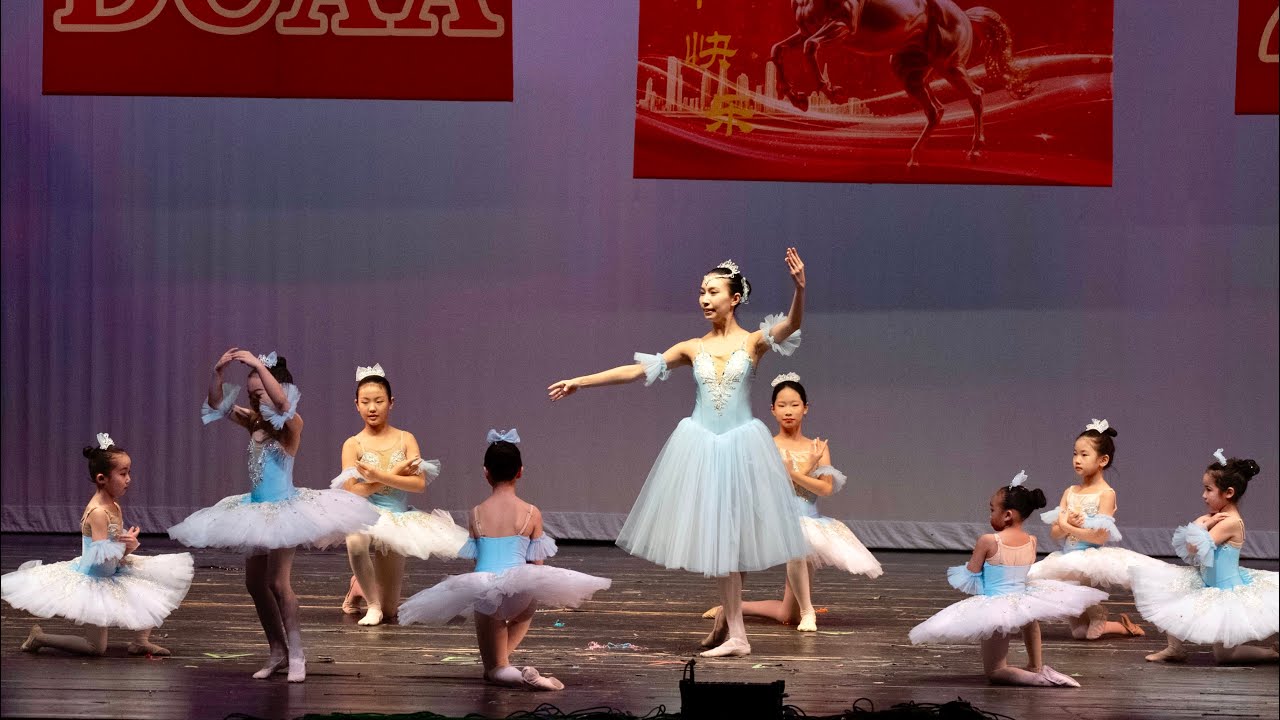 2026 Chinese New Year Performance