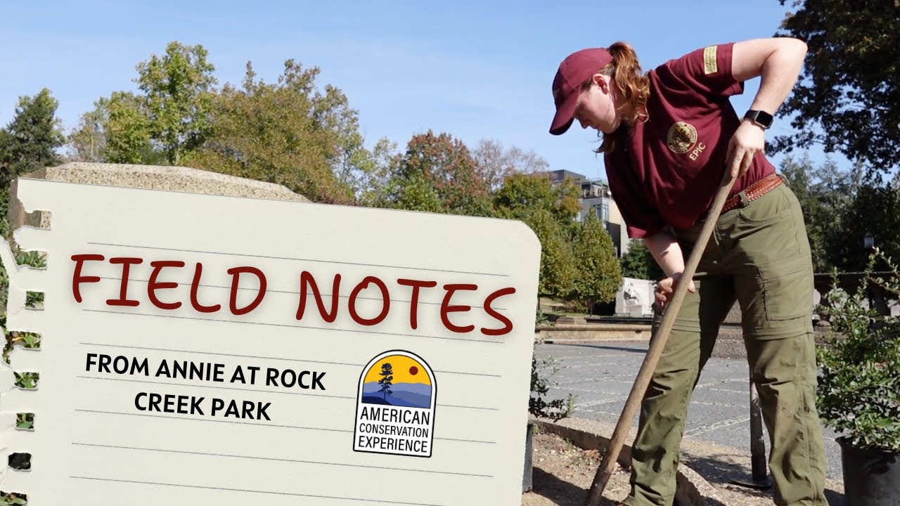 FIELD NOTES 📝 | with Annie at Rock Creek Park
