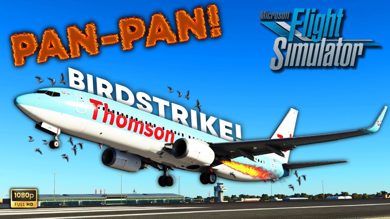 ENGINE FIRE! Birdstrike takeoff out of MENORCA! | TUI PMDG 737 800 | Microsoft Flight Simulator 2020