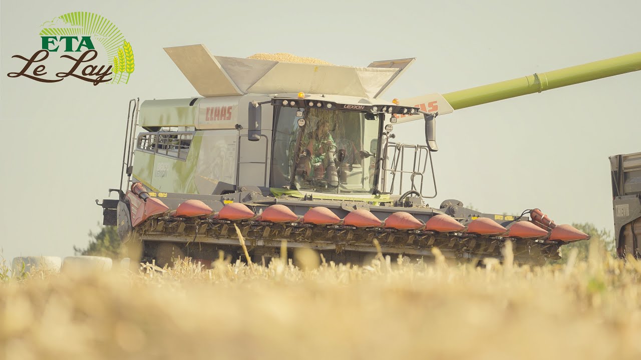 XXL MOISSON de MAÏS GRAIN en Bretagne | 18 RANGS | x2 LEXION 8600 & 7500 | ETA Lelay | 2024