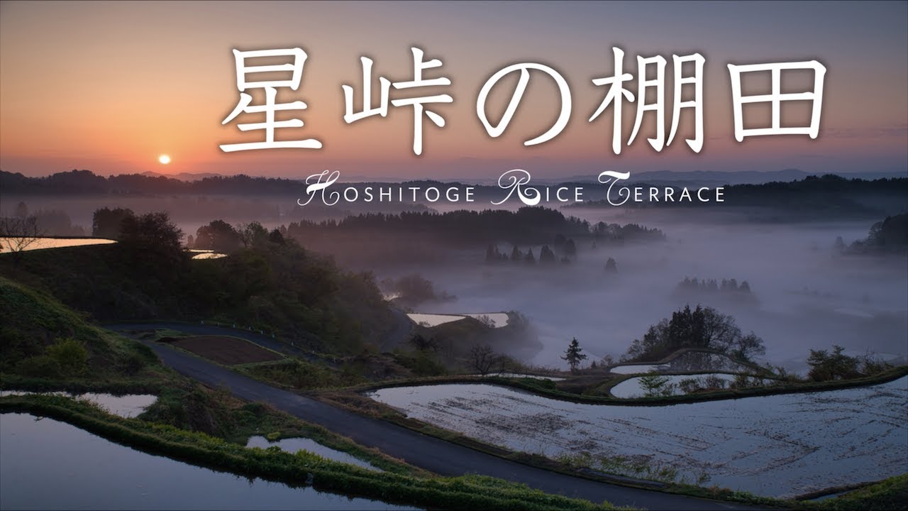 【風景写真・空撮】新潟県の絶景スポット【星峠の棚田】で撮影してきました｜DJI Mavic2Pro使用
