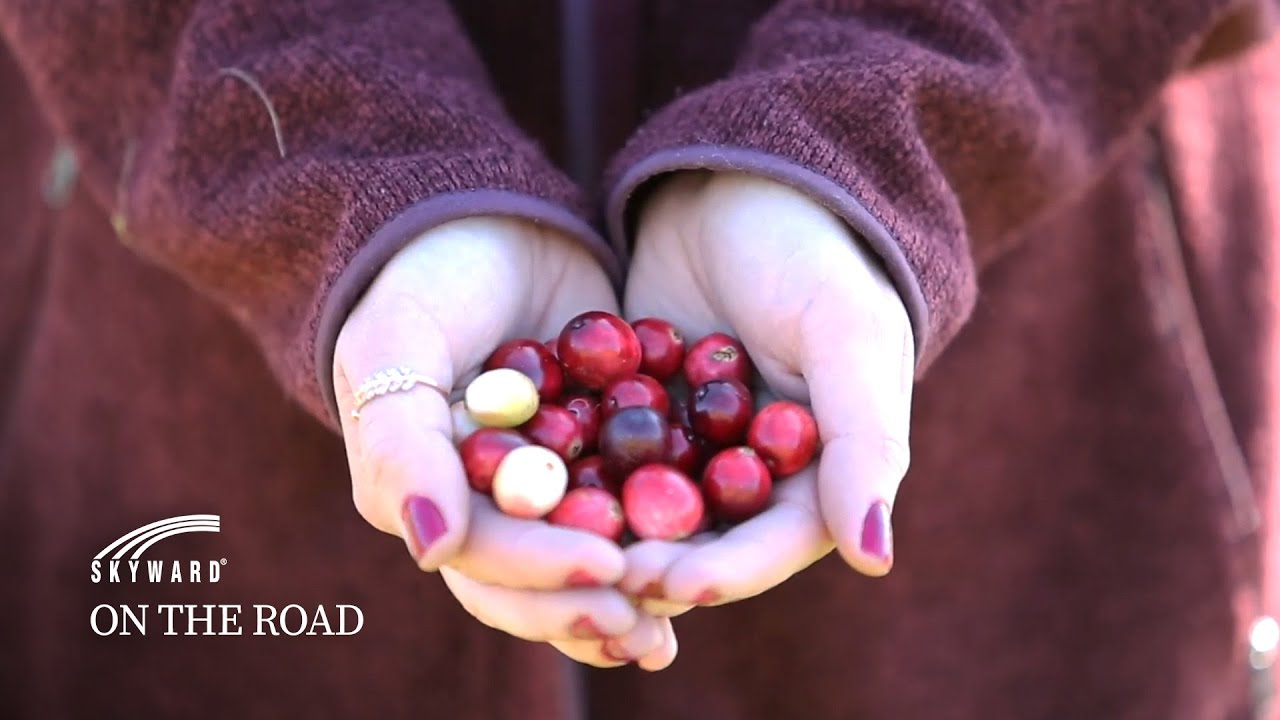 Cranberry Science and a Splash of Red: On the Road with Lauren
