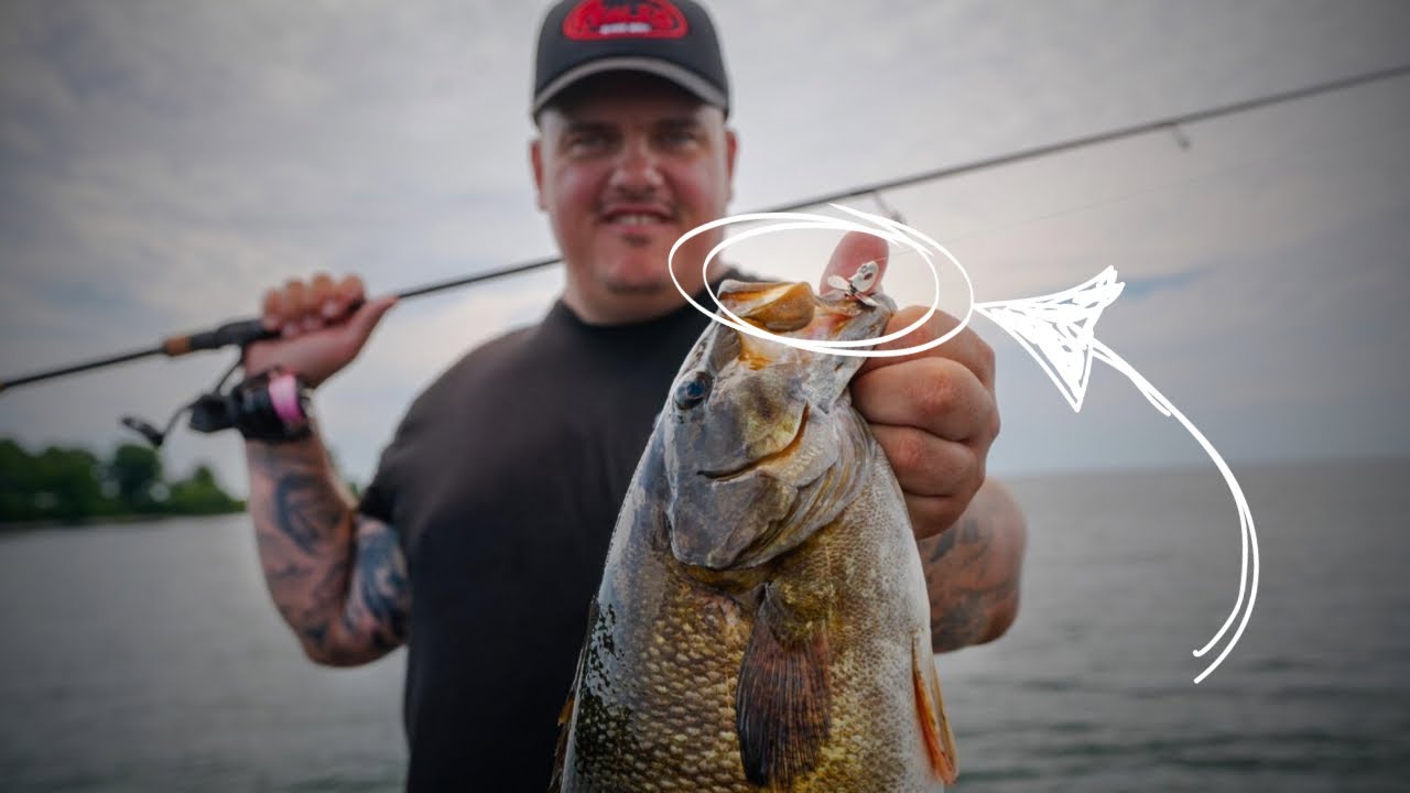 The Best Bait for Smallmouth Bass (and Why It Works)