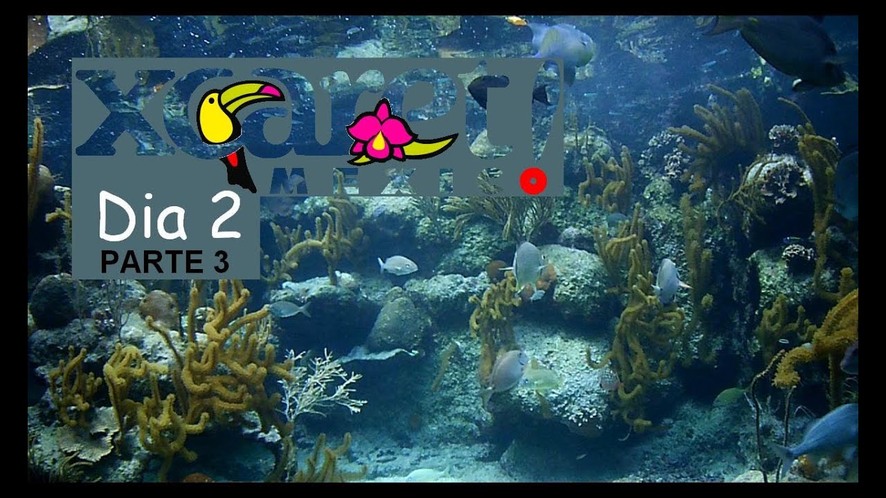 Xcaret / Rest. La Laguna / Acuario / Rio del Paraiso