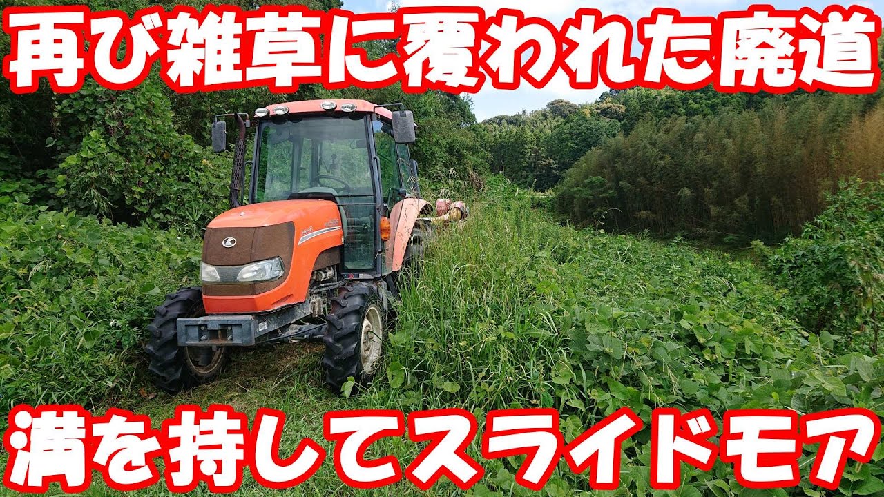 猪の横断する堤防廃農道。可能な限りスライドモアで突入。#草刈り