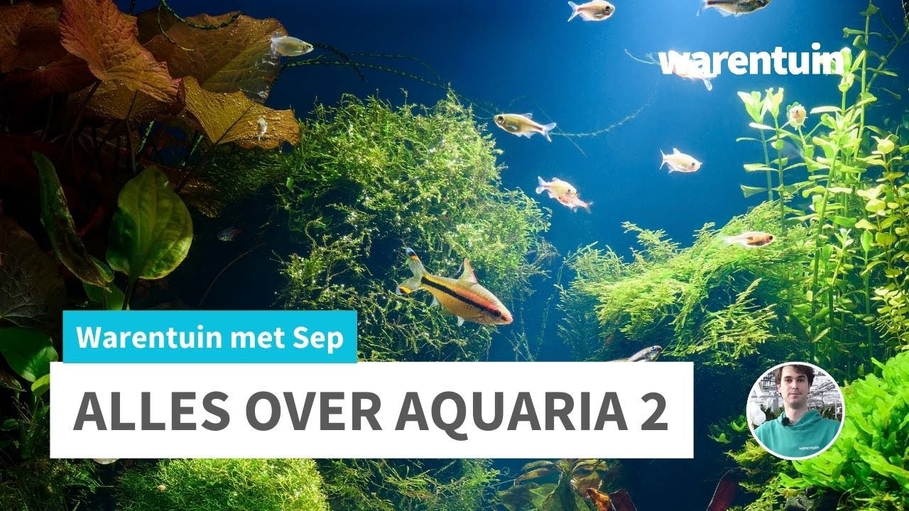 Alles over Aquaria